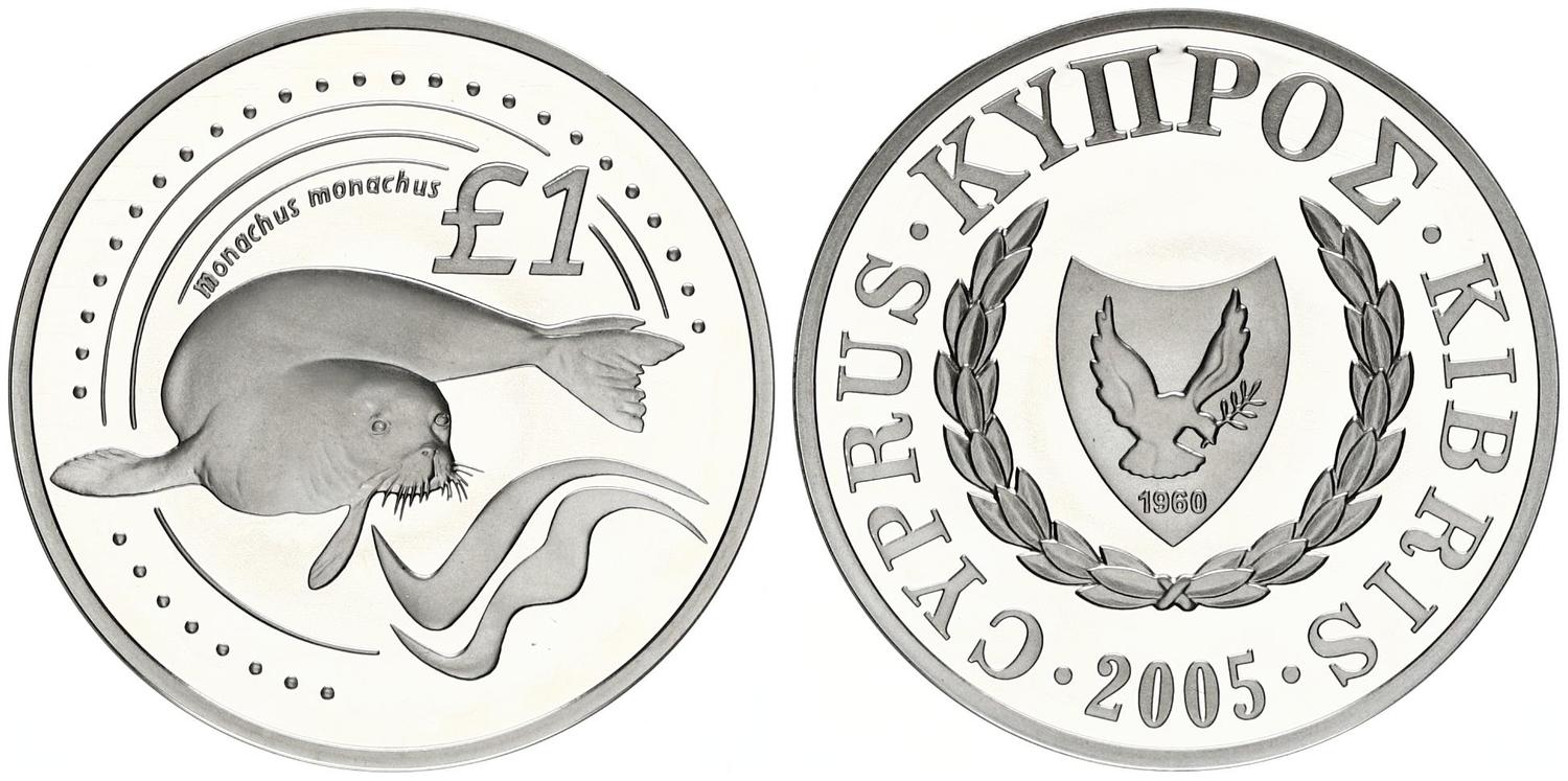 Silver Pound Mediterranean Monk Seal
